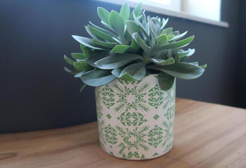 Lodge Boutique Hotel Kühlungsborn