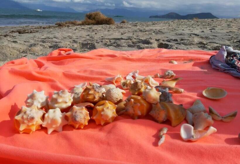 膳宿费 A Ver O Mar Beach House