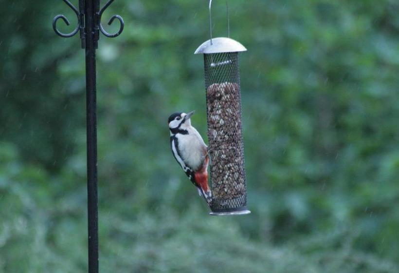 膳宿费 Arrandale House