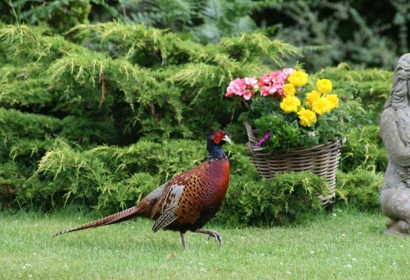 膳宿费 Arrandale House