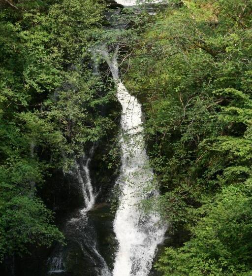 膳宿费 Arrandale House