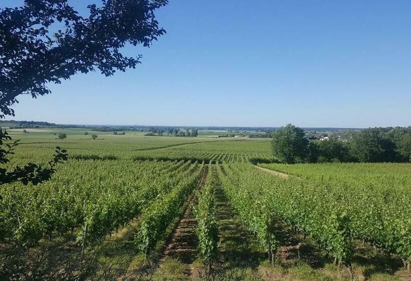 膳宿费 Au Creux Des Vignes