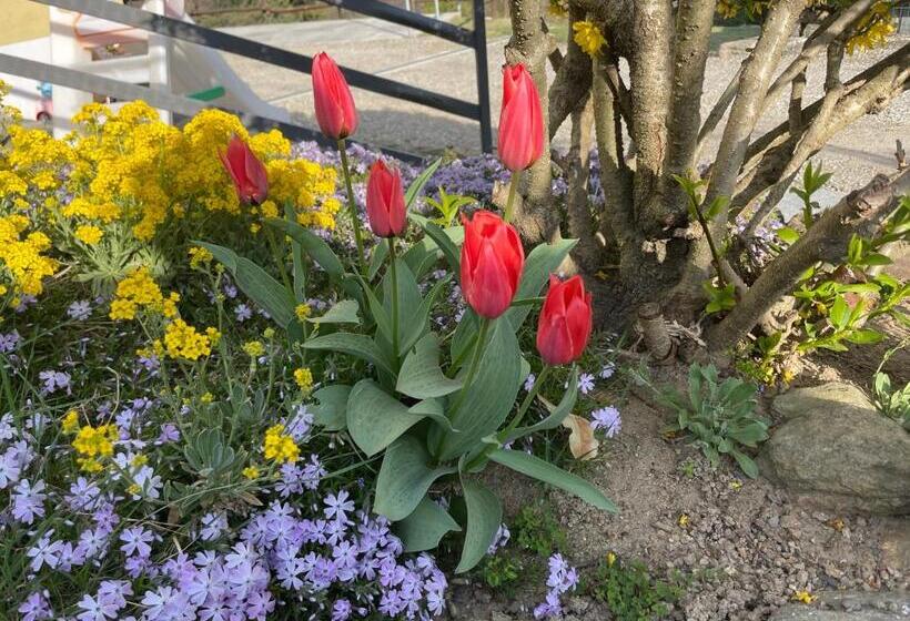 بنسيون Camere Villa Lunardini