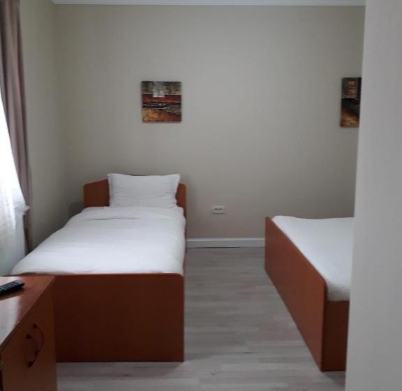 펜션 Casa Andrei Retezat