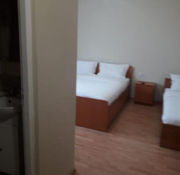 ペンション Casa Andrei Retezat