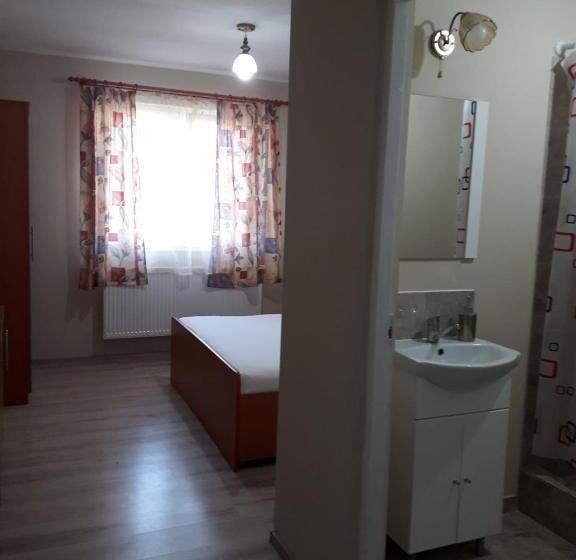 펜션 Casa Andrei Retezat