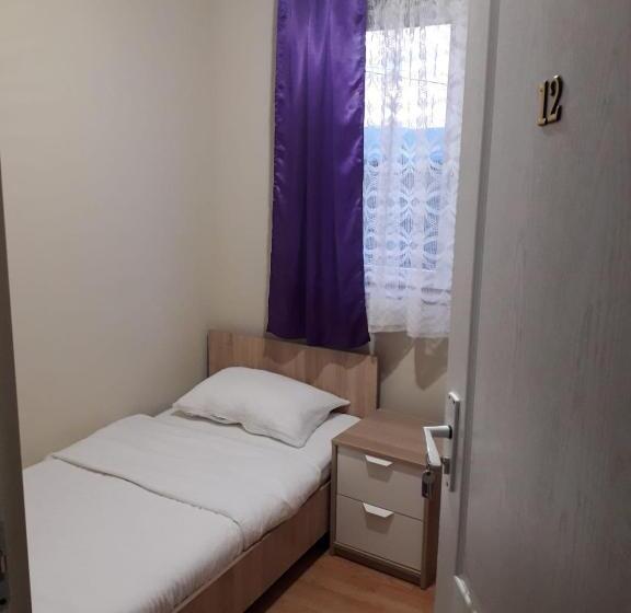 펜션 Casa Andrei Retezat