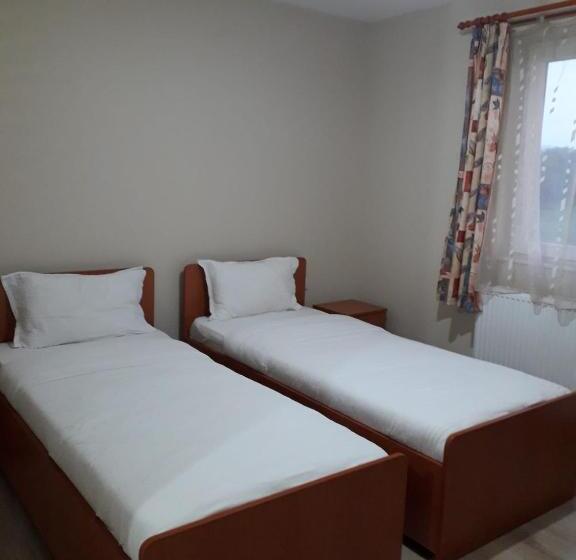 펜션 Casa Andrei Retezat