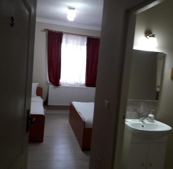 펜션 Casa Andrei Retezat