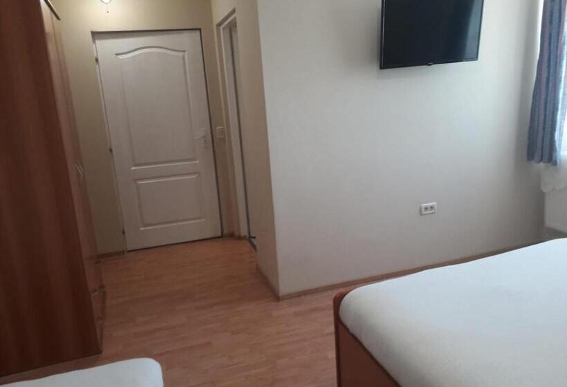 ペンション Casa Andrei Retezat