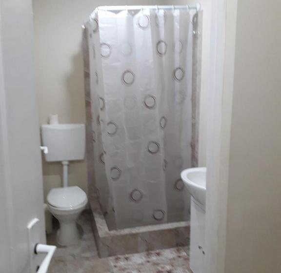 펜션 Casa Andrei Retezat