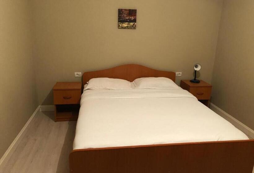 펜션 Casa Andrei Retezat