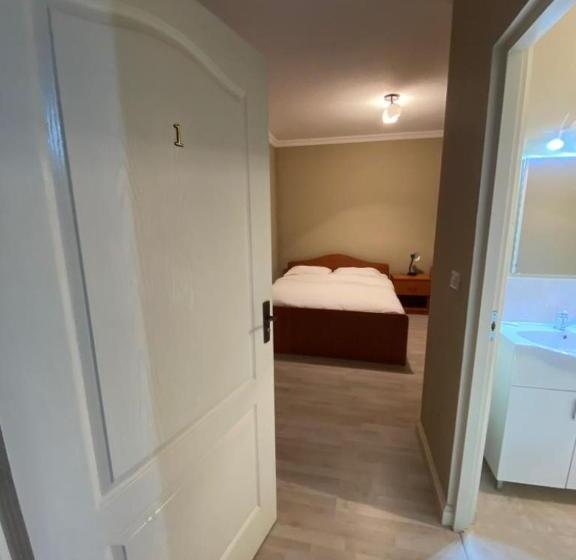 펜션 Casa Andrei Retezat