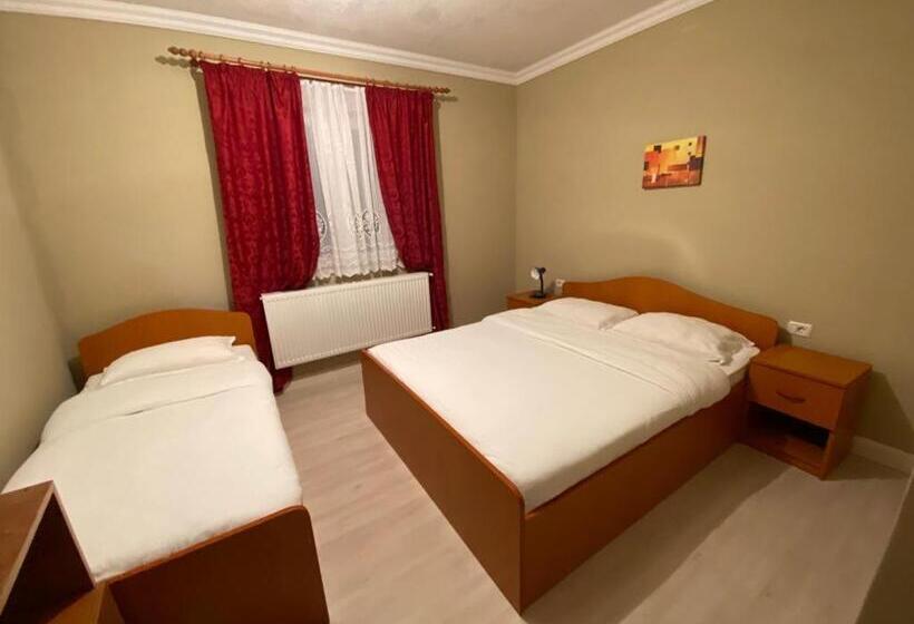 펜션 Casa Andrei Retezat