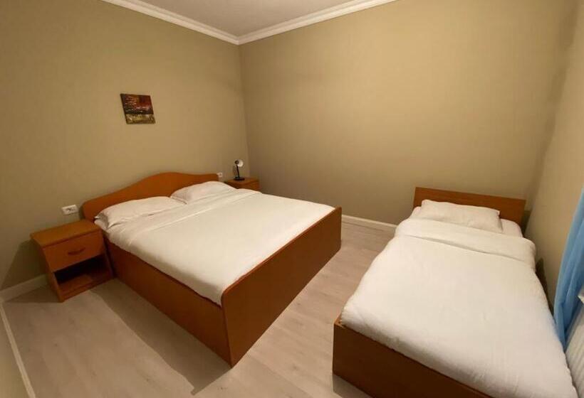 펜션 Casa Andrei Retezat