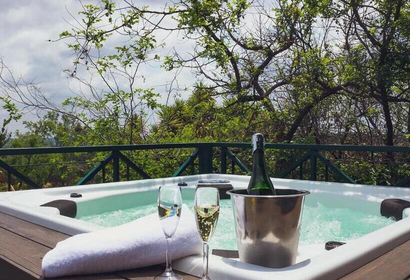 膳宿费 Cussonia Country Home