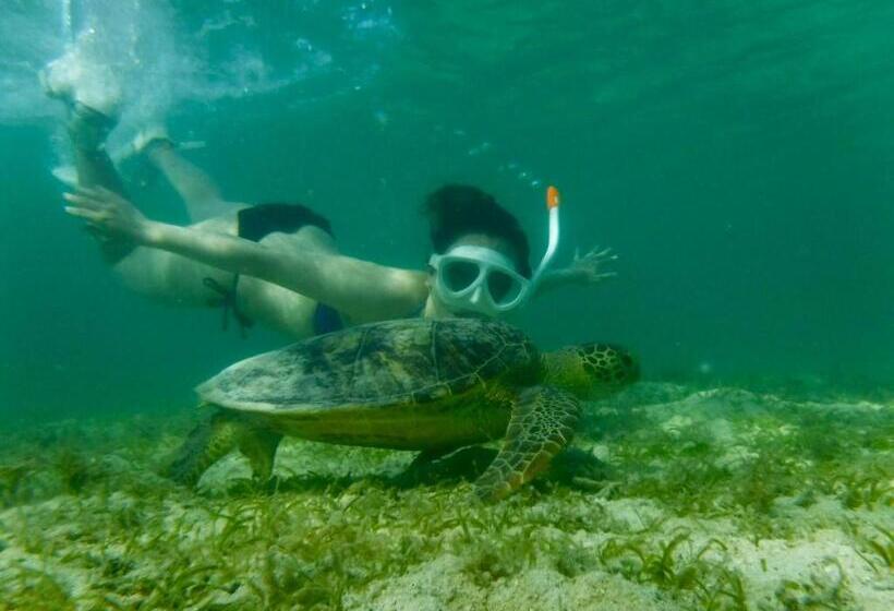 펜션 Happy Island Miyako