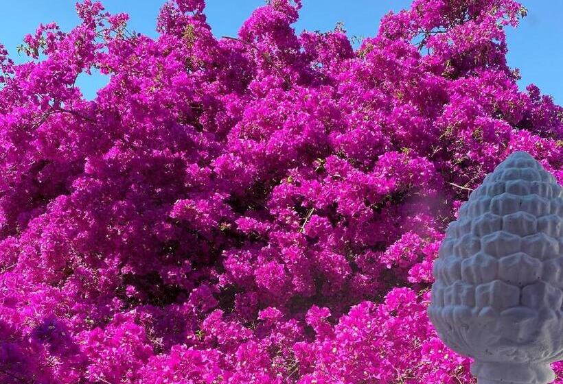 بنسيون Le Dimore In Piazzetta