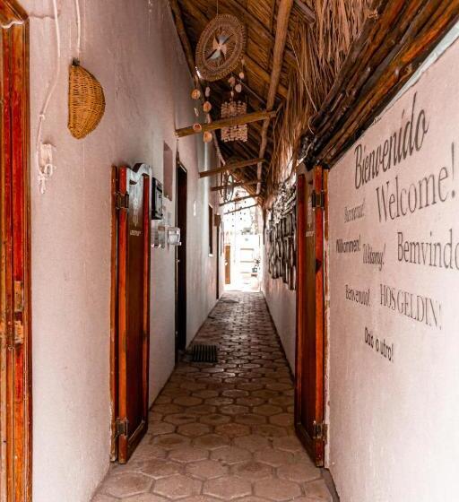 ペンション Lifestyle Kb Holbox