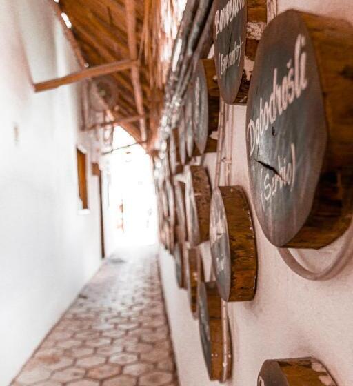 ペンション Lifestyle Kb Holbox