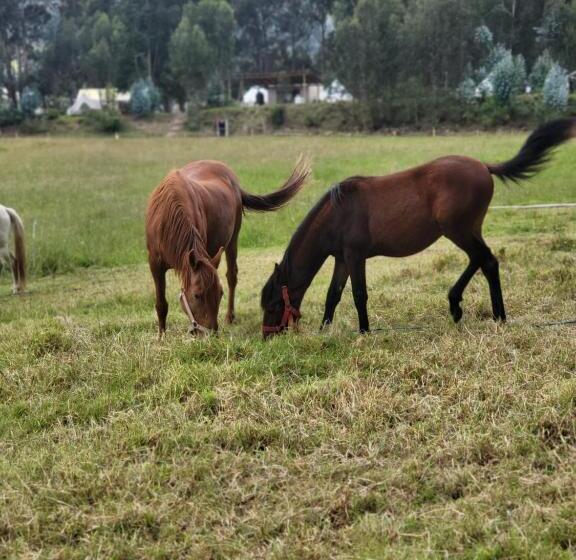 펜션 Palumbo Glamping & Villas