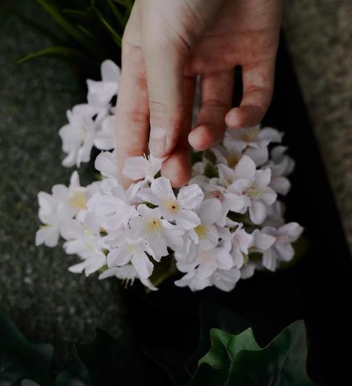 Пансион Zarey Hostel