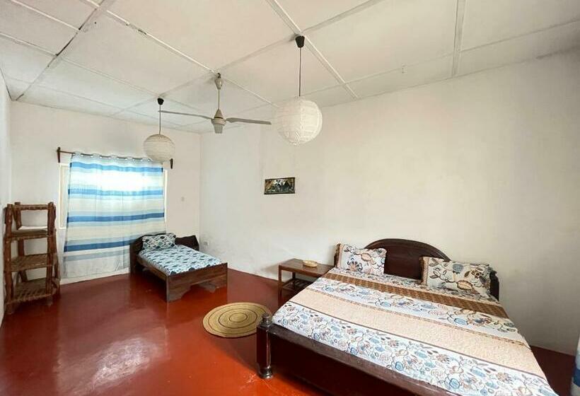 膳宿费 Zava House Stone Town