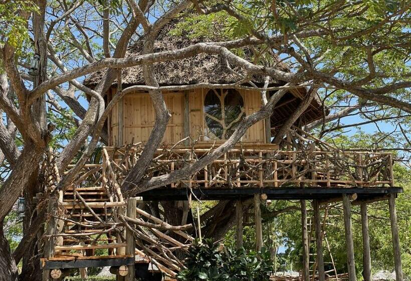 渡假胜地  Antonio Beach Tree House Hotel & Spa