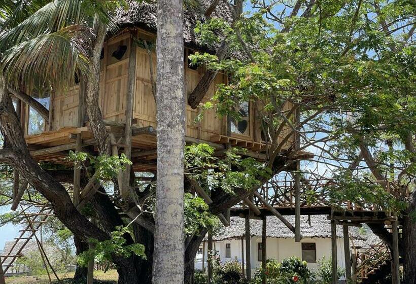 渡假胜地  Antonio Beach Tree House Hotel & Spa