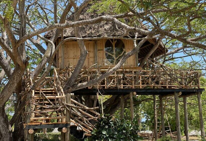 渡假胜地  Antonio Beach Tree House Hotel & Spa