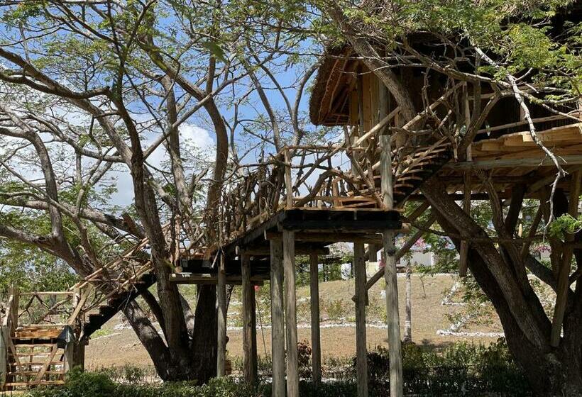 渡假胜地  Antonio Beach Tree House Hotel & Spa