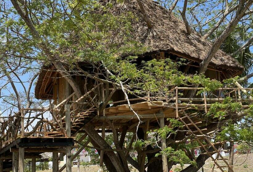 渡假胜地  Antonio Beach Tree House Hotel & Spa