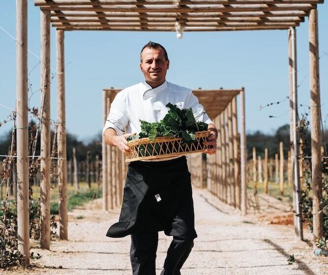 渡假胜地 Masseria Corsano