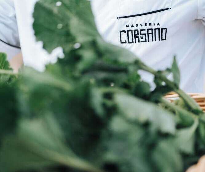 渡假胜地 Masseria Corsano