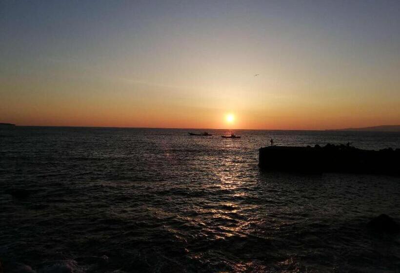 Ryokan Izu Shirada Villa 伊豆白田家