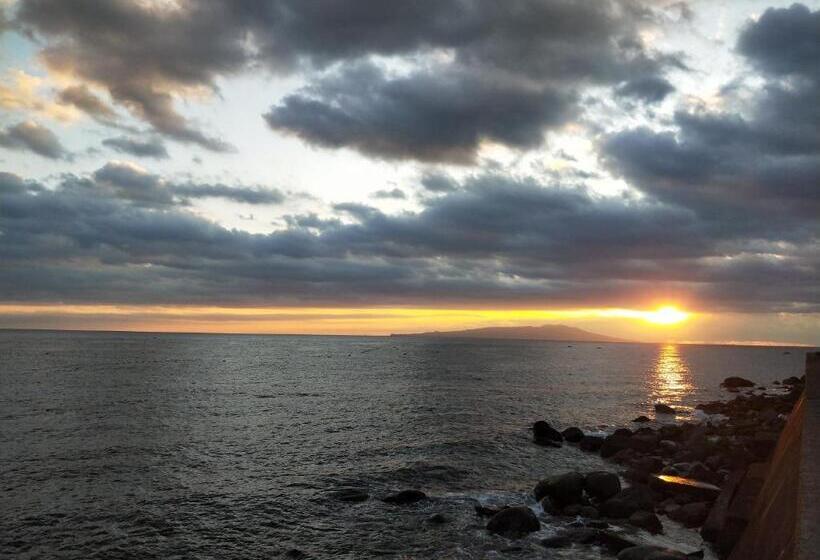 Ryokan Izu Shirada Villa 伊豆白田家