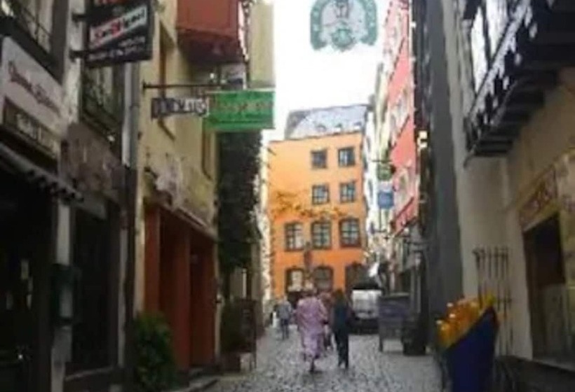 Altstadthotel Hayk Am Rhein