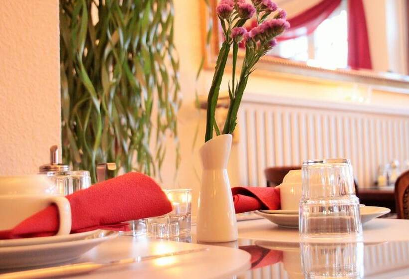 Altstadthotel Hayk Am Rhein