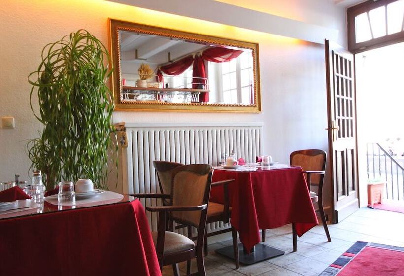 Altstadthotel Hayk Am Rhein