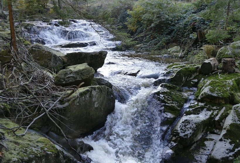 Altstadthotel Ilsenburg
