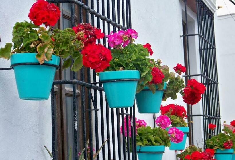 Apartamentos Miguel Angel