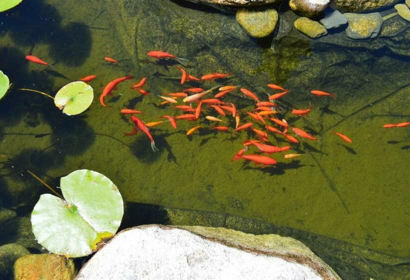 مبيت وإفطار Villa Lafabregue