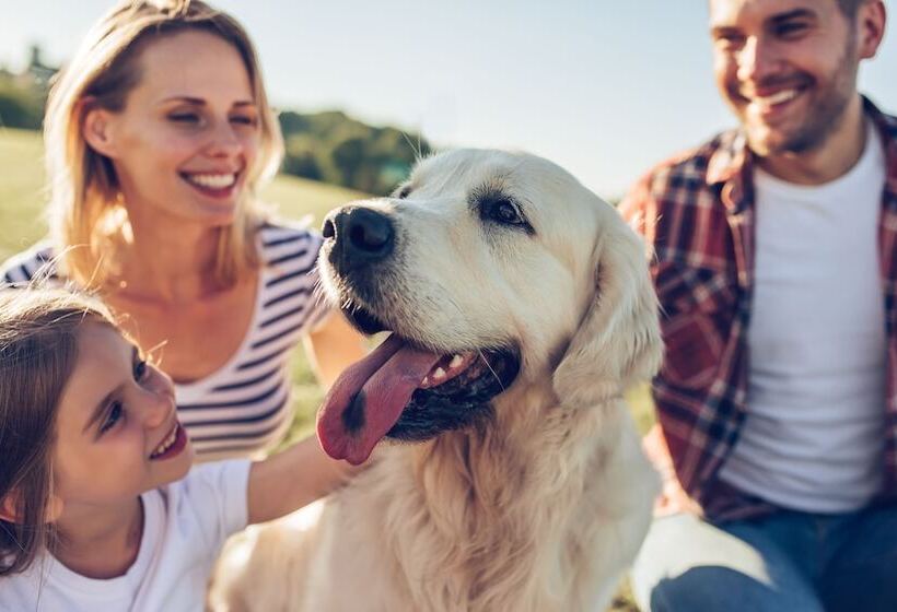 Achat Hotel Waldkirchen