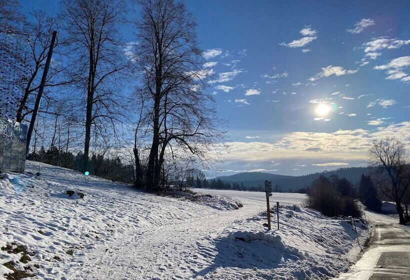 Achat Hotel Waldkirchen