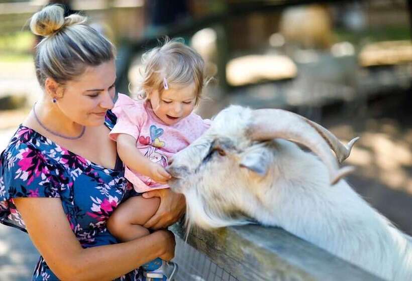 Achat Hotel Waldkirchen