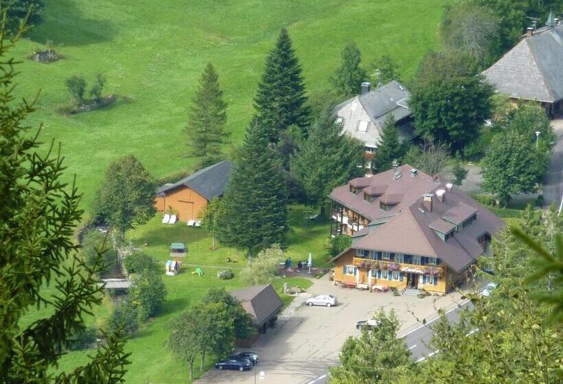 Akzent Hotel Lawine