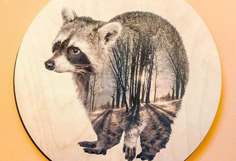 فندق Alpenrose Bayrischzell