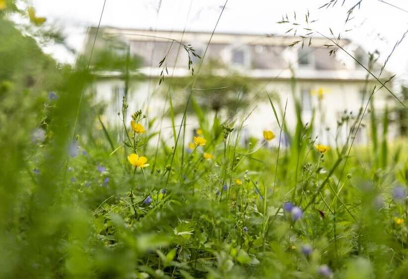 Berghotel Drei Brüder Höhe
