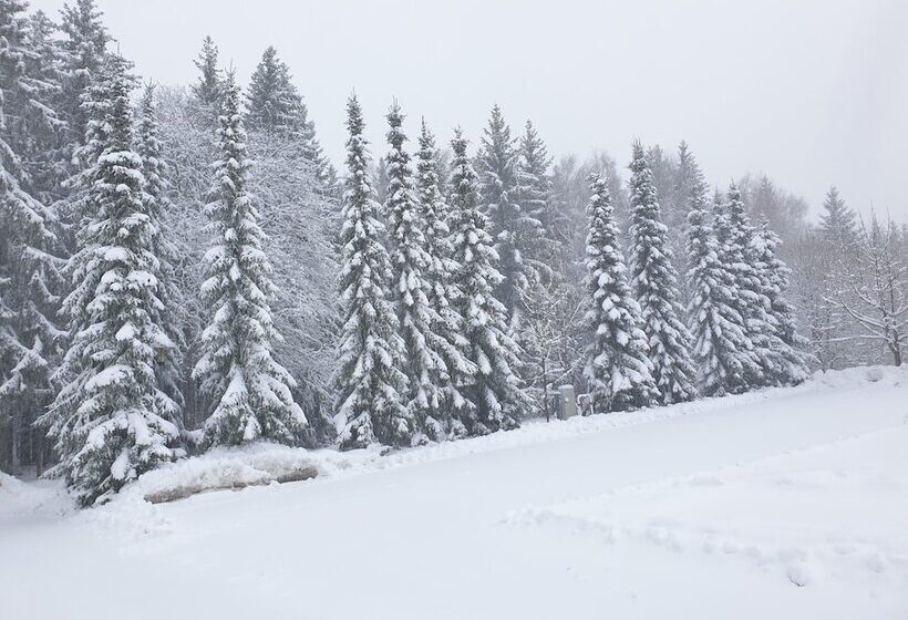 Berghotel Drei Brüder Höhe