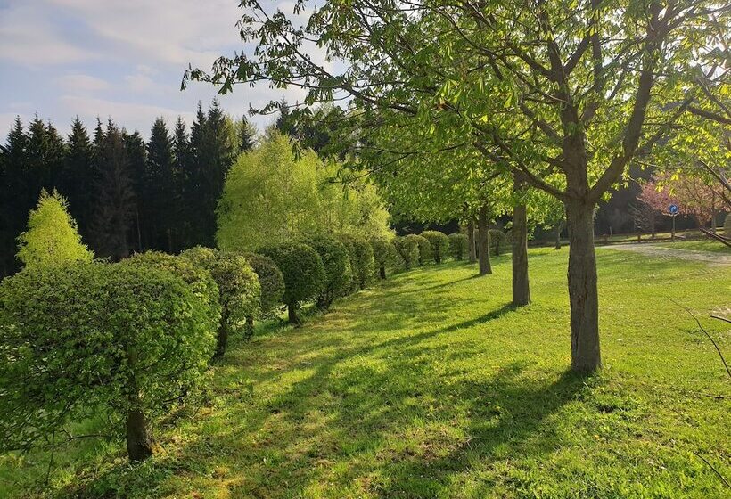 Berghotel Drei Brüder Höhe